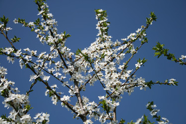 Similar image 2791698