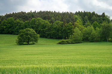 Similar image 2791699