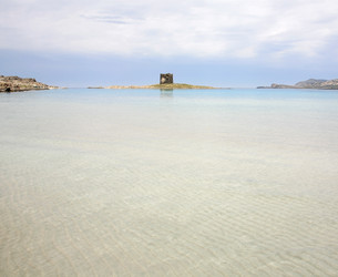 Similar image 2792076