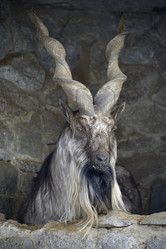 Similar image 2792108