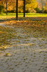 Similar image 2792109