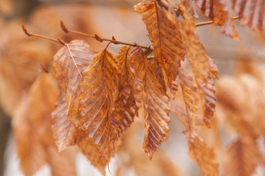 Similar image 2792133