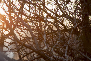 Similar image 2792134