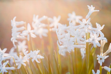 Similar image 2792135