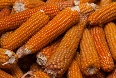 Similar image 2792136