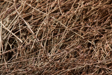 Similar image 2792140