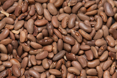 Similar image 2792141