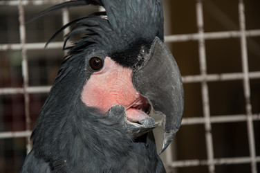 Similar image 2792159