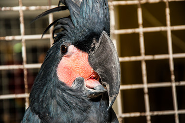 Similar image 2792160