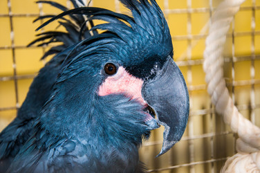 Similar image 2792171