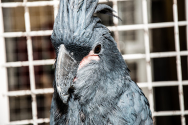 Similar image 2792174