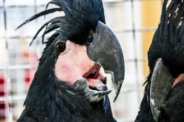 Similar image 2792176