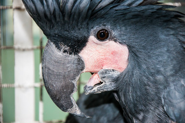 Similar image 2792178