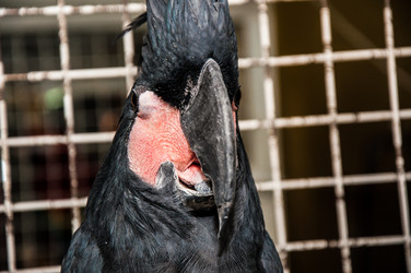 Similar image 2792179