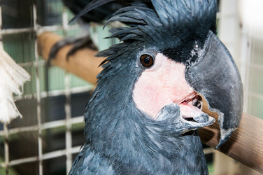 Similar image 2792180