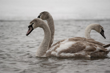 Similar image 2792197