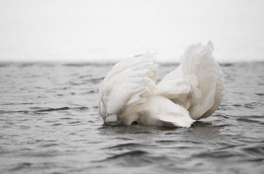 Similar image 2792198