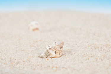 Similar image 2792266