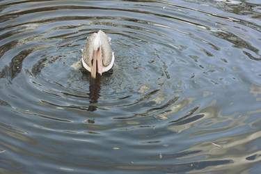 Similar image 2792288