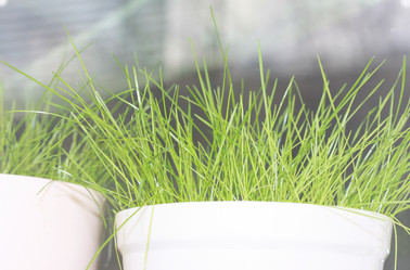 Similar image 2792293