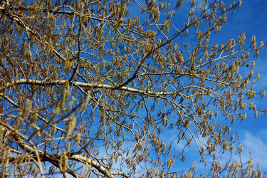 Similar image 2792297