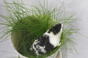 Similar image 2792307