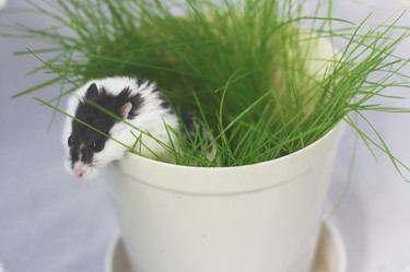 Similar image 2792308