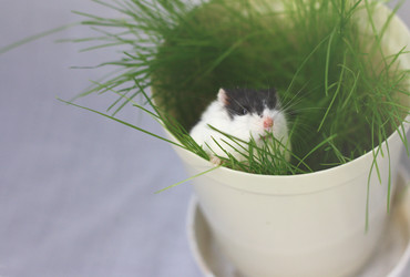 Similar image 2792309