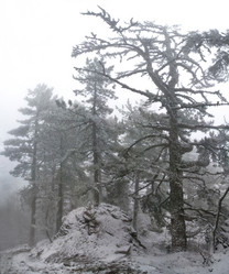 Similar image 2792405