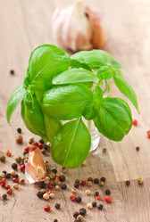 Similar image 2792410