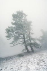 Similar image 2792432