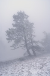 Similar image 2792433