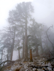 Similar image 2792434