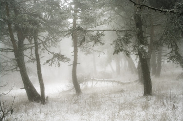 Similar image 2792445