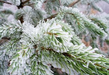 Similar image 2792447