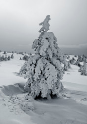 Similar image 2792450