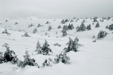 Similar image 2792451