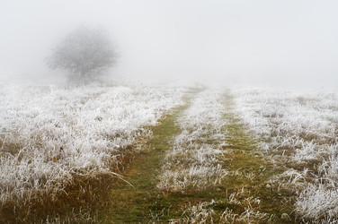 Similar image 2792455