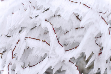 Similar image 2792456