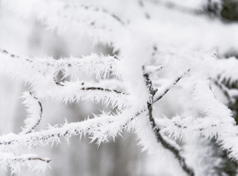 Similar image 2792459