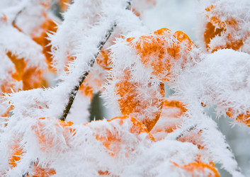 Similar image 2792460