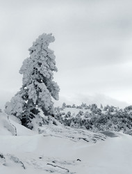 Similar image 2792462