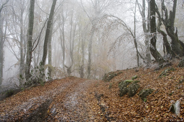 Similar image 2792463