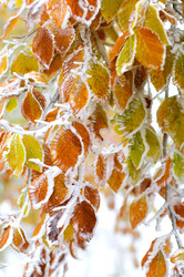 Similar image 2792464