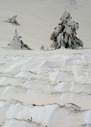 Similar image 2792465