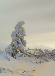 Similar image 2792466