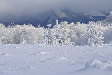 Similar image 2792468