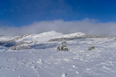 Similar image 2792469