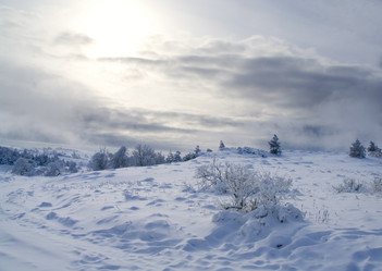 Similar image 2792470