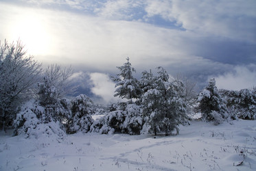 Similar image 2792472